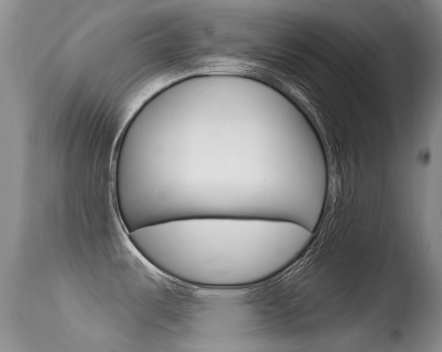 X0000113611487200909181039