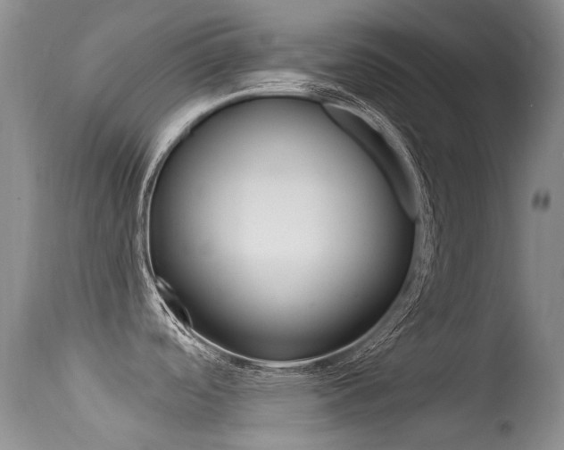 X0000113611488200909181039