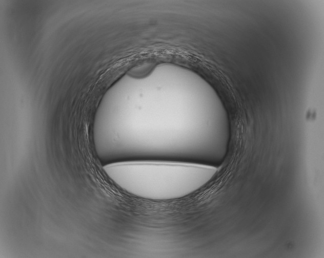 X0000113611489200909181038