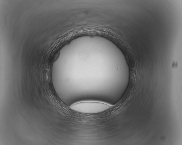 X0000113611490200909181038