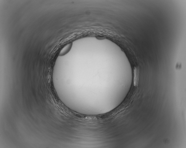 X0000113611491200909181038