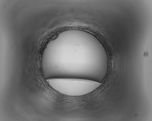 X0000113611493200909181038