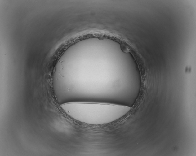 X0000113611495200909181039