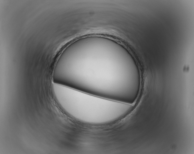 X0000113611497200909181039