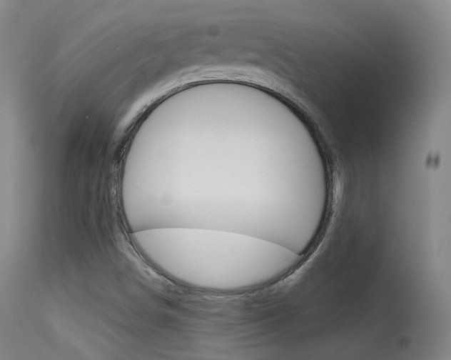 X0000113611498200909181039