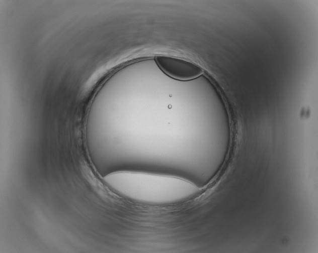 X0000113611499200909181039