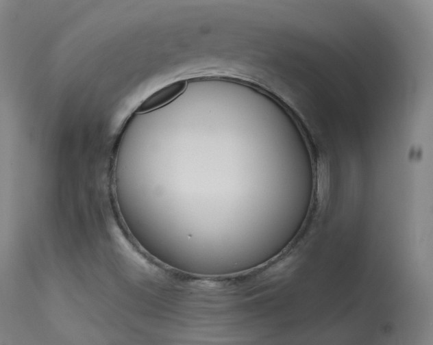 X0000113611500200909181039