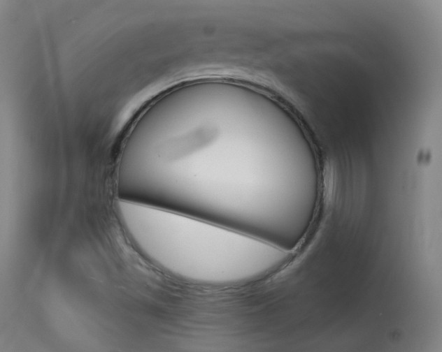 X0000113611501200909181039