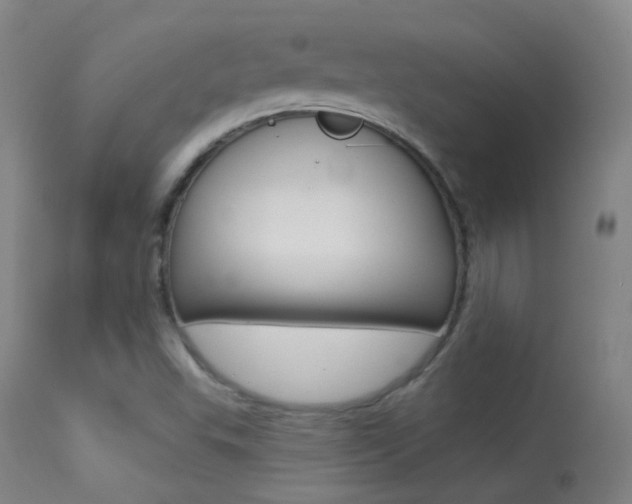 X0000113611503200909181039