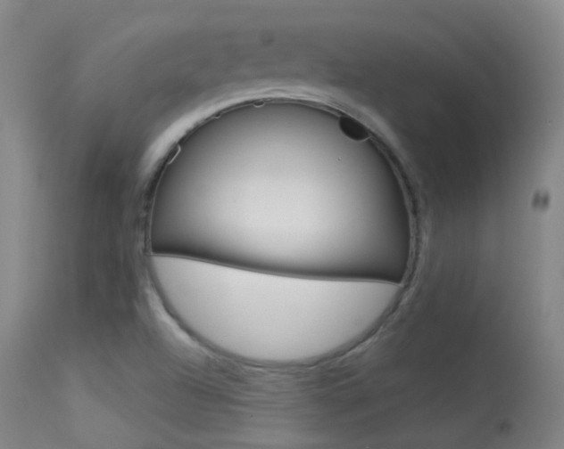 X0000113611504200909181039