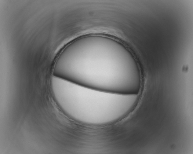 X0000113611505200909181039
