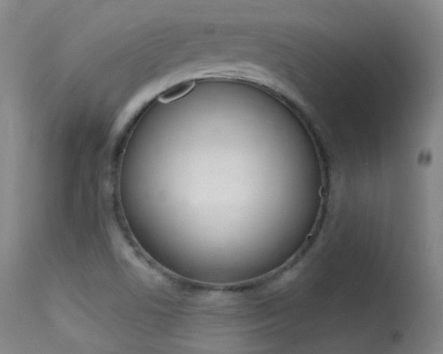 X0000113611506200909181039