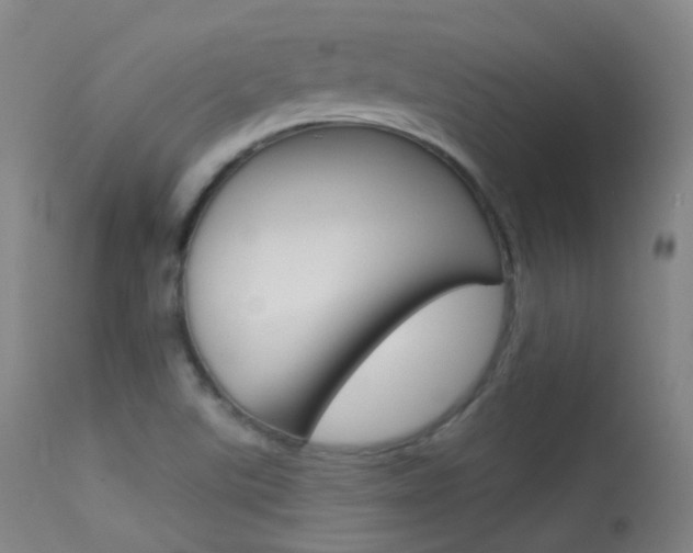 X0000113611507200909181039