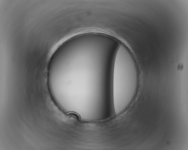 X0000113611508200909181039
