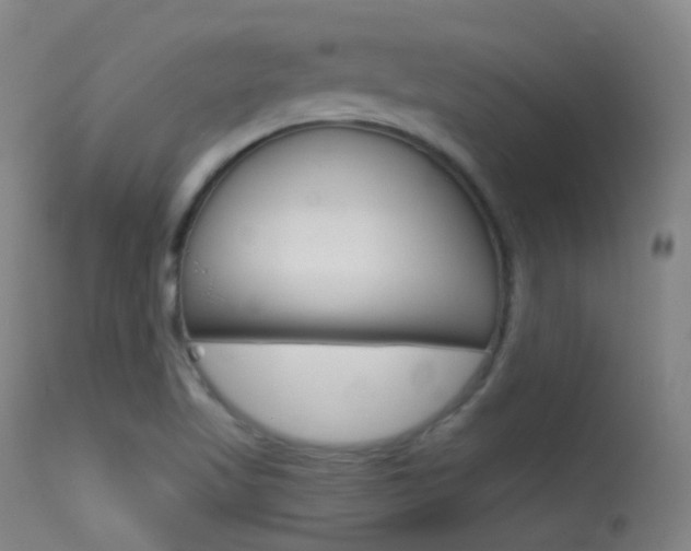 X0000113611509200909181039