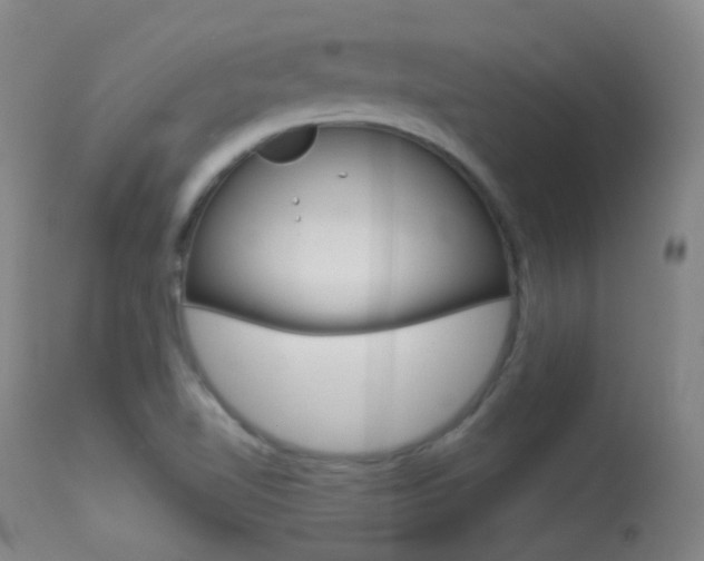 X0000113611510200909181039