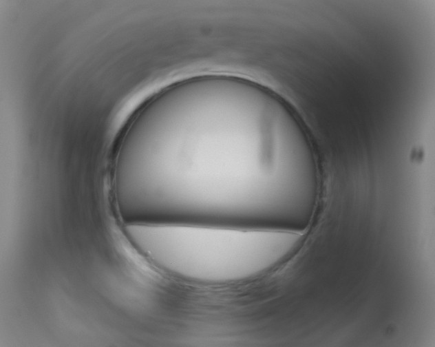 X0000113611511200909181039