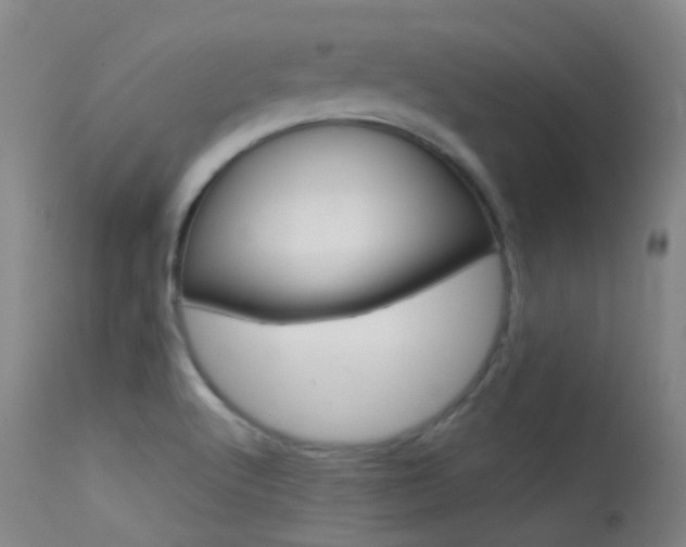 X0000113611512200909181039