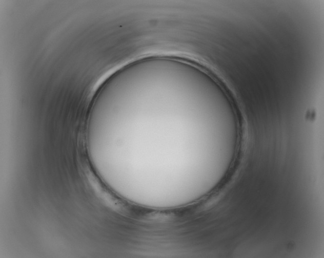 X0000113611513200909181039