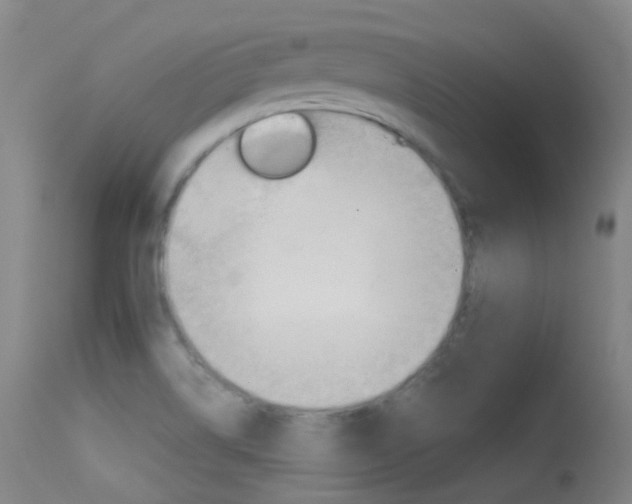 X0000113611514200909181039