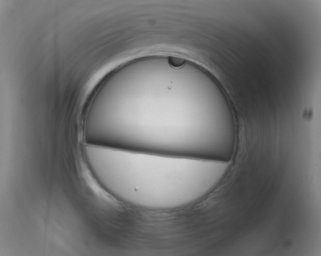 X0000113611515200909181039