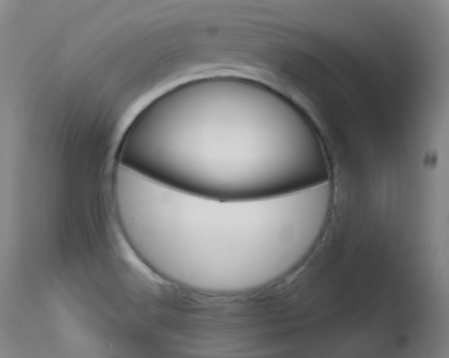 X0000113611516200909181039