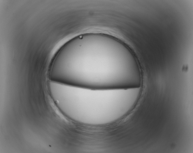 X0000113611517200909181039