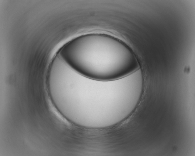X0000113611518200909181039