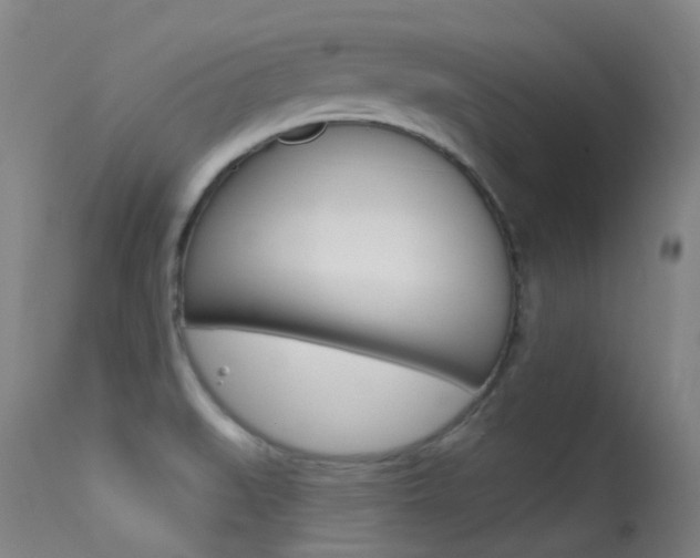 X0000113611519200909181039