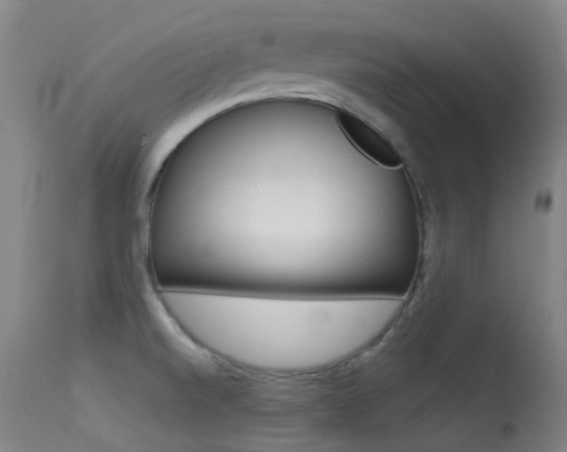 X0000113611520200909181039