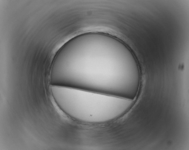 X0000113611521200909181039
