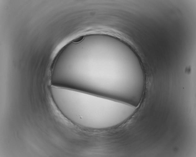 X0000113611522200909181039