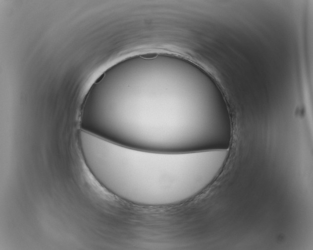 X0000113611524200909181039