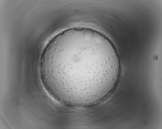 X0000113611525200909181039