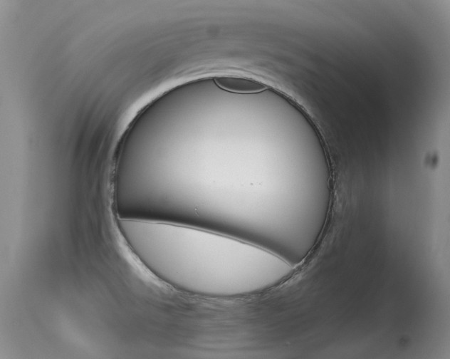 X0000113611526200909181039