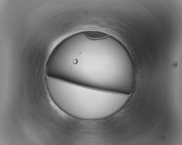 X0000113611527200909181039