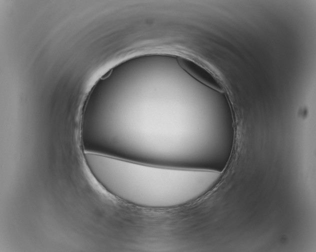X0000113611528200909181039