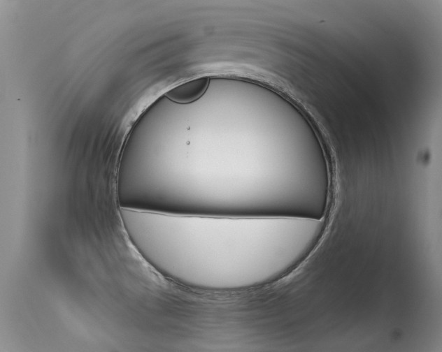 X0000113611529200909181039