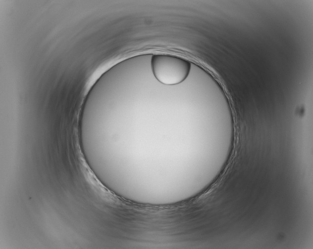 X0000113611530200909181039