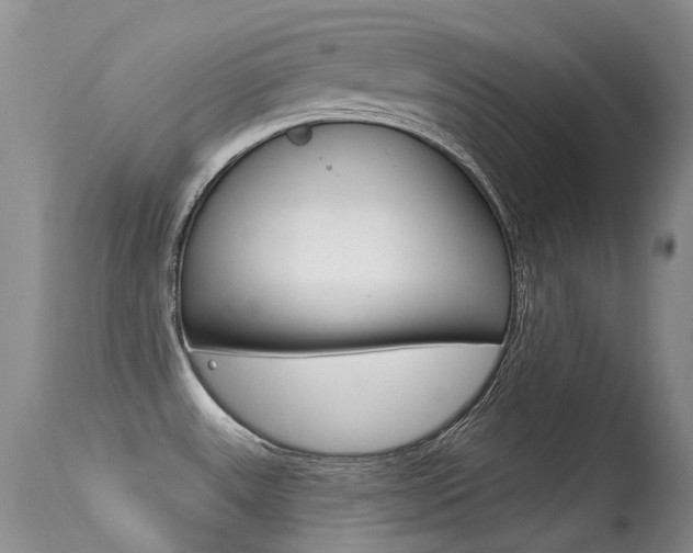 X0000113611531200909181039