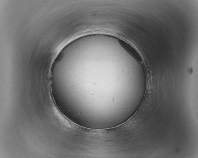 X0000113611532200909181039