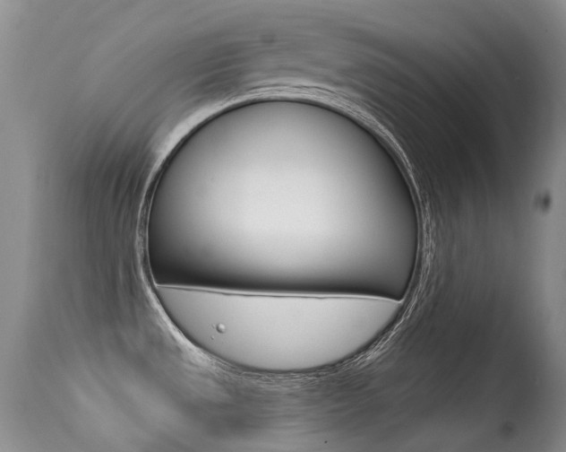 X0000113611533200909181039