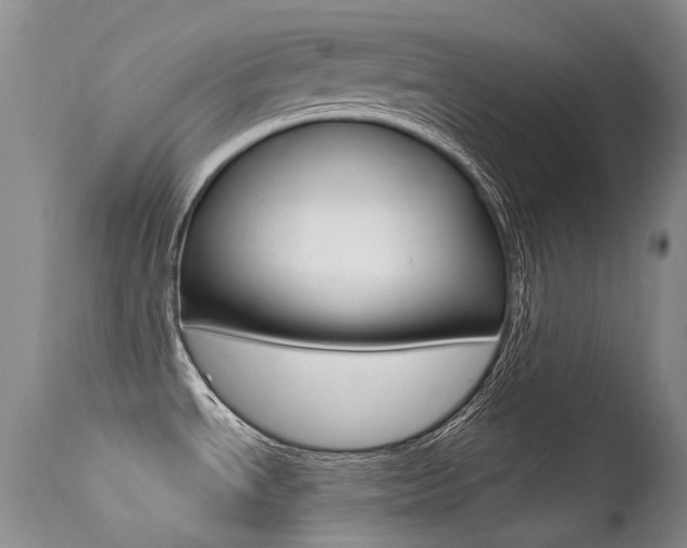 X0000113611534200909181039