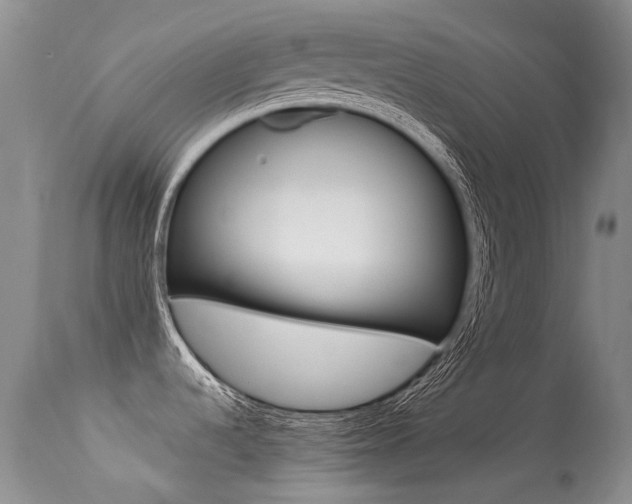 X0000113611536200909181039