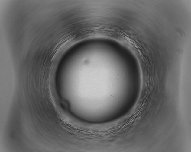 X0000113610001200909181428