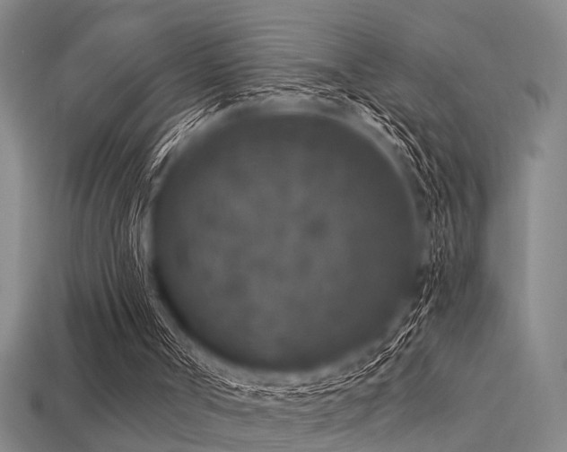 X0000113610002200909181428