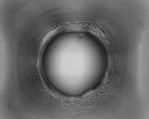 X0000113610003200909181428