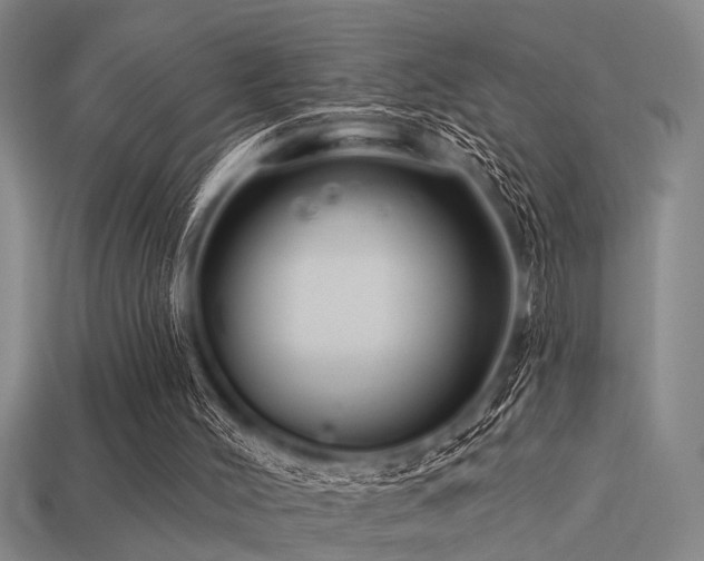 X0000113610004200909181428