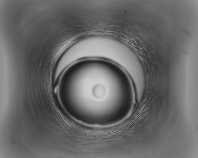 X0000113610005200909181428