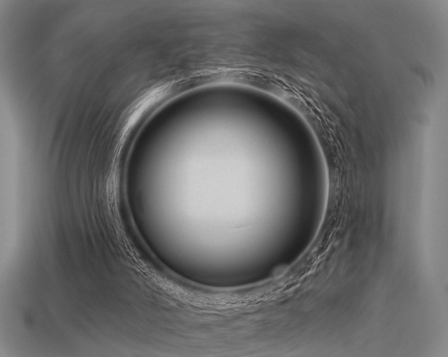 X0000113610006200909181428